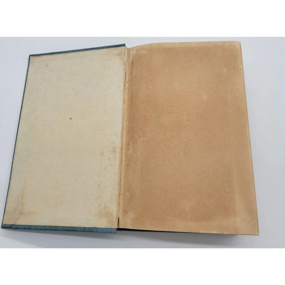 Vintage Edward P Roe THE‎ HORNET'S NEST 1892 Decorative Hardcover
